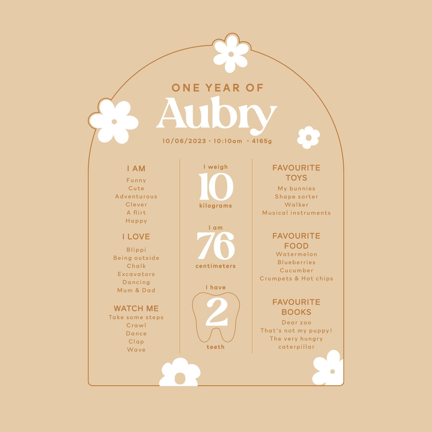 Birthday Milestone Board | Daisy