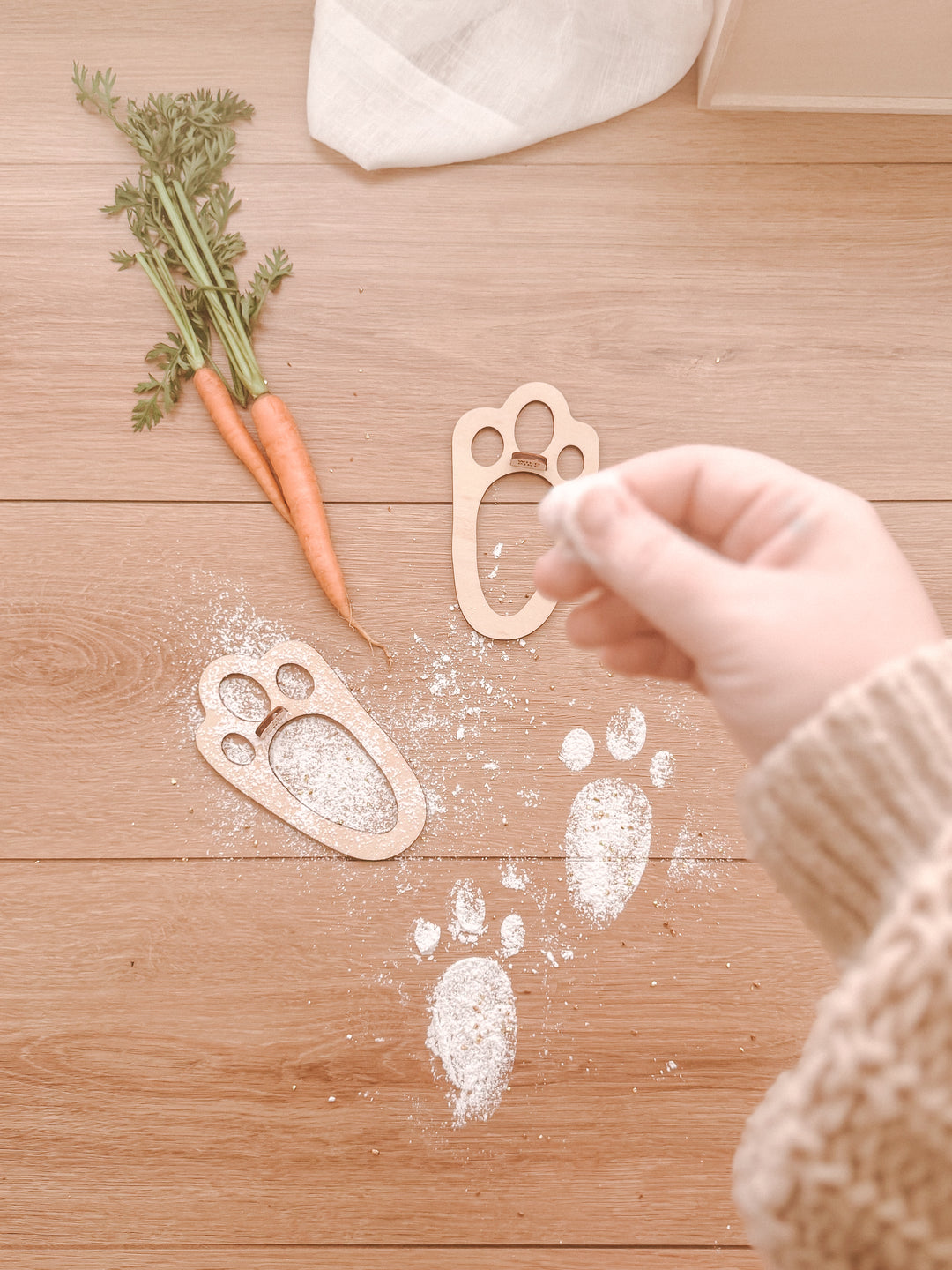 Easter Bunny Footprint Stencil