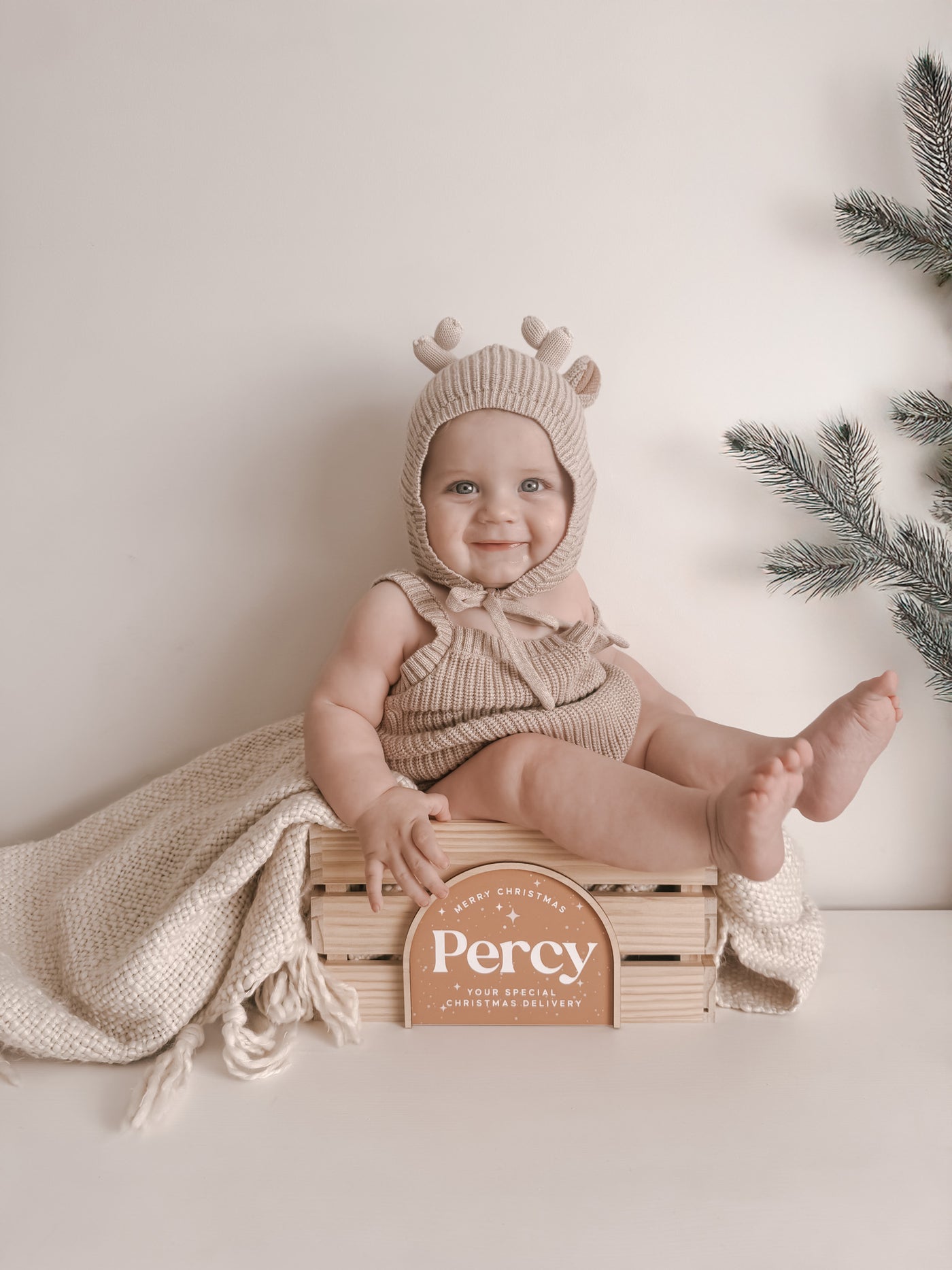 Christmas Wooden Crate | Colour Plaques