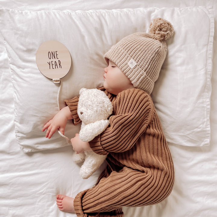 Wooden Baby Milestone Plaques - Balloons