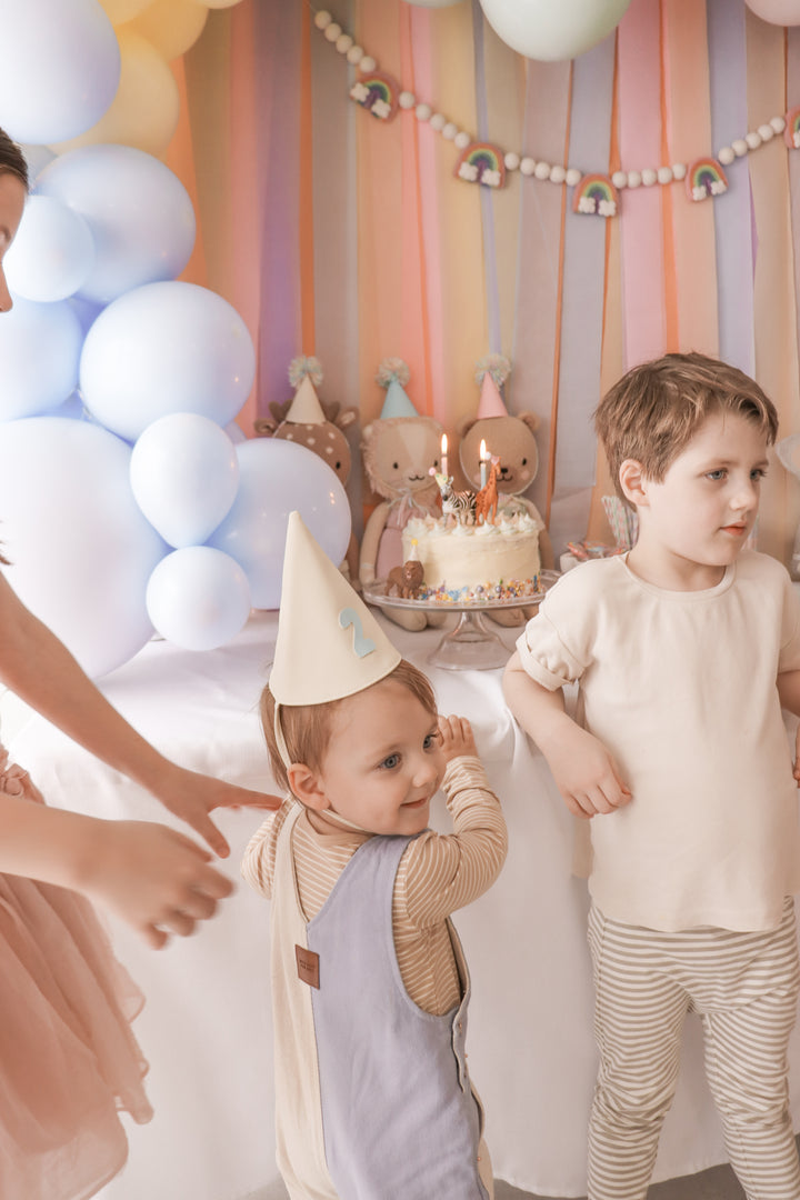 Keepsake Party Hat | Birthday Party Hat