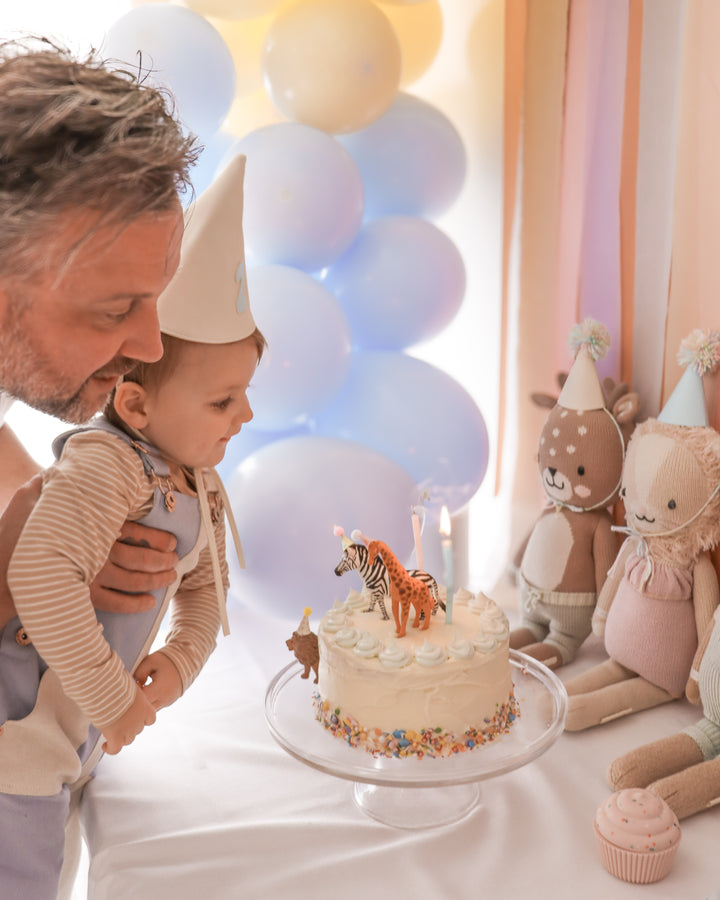 Keepsake Party Hat | Birthday Party Hat