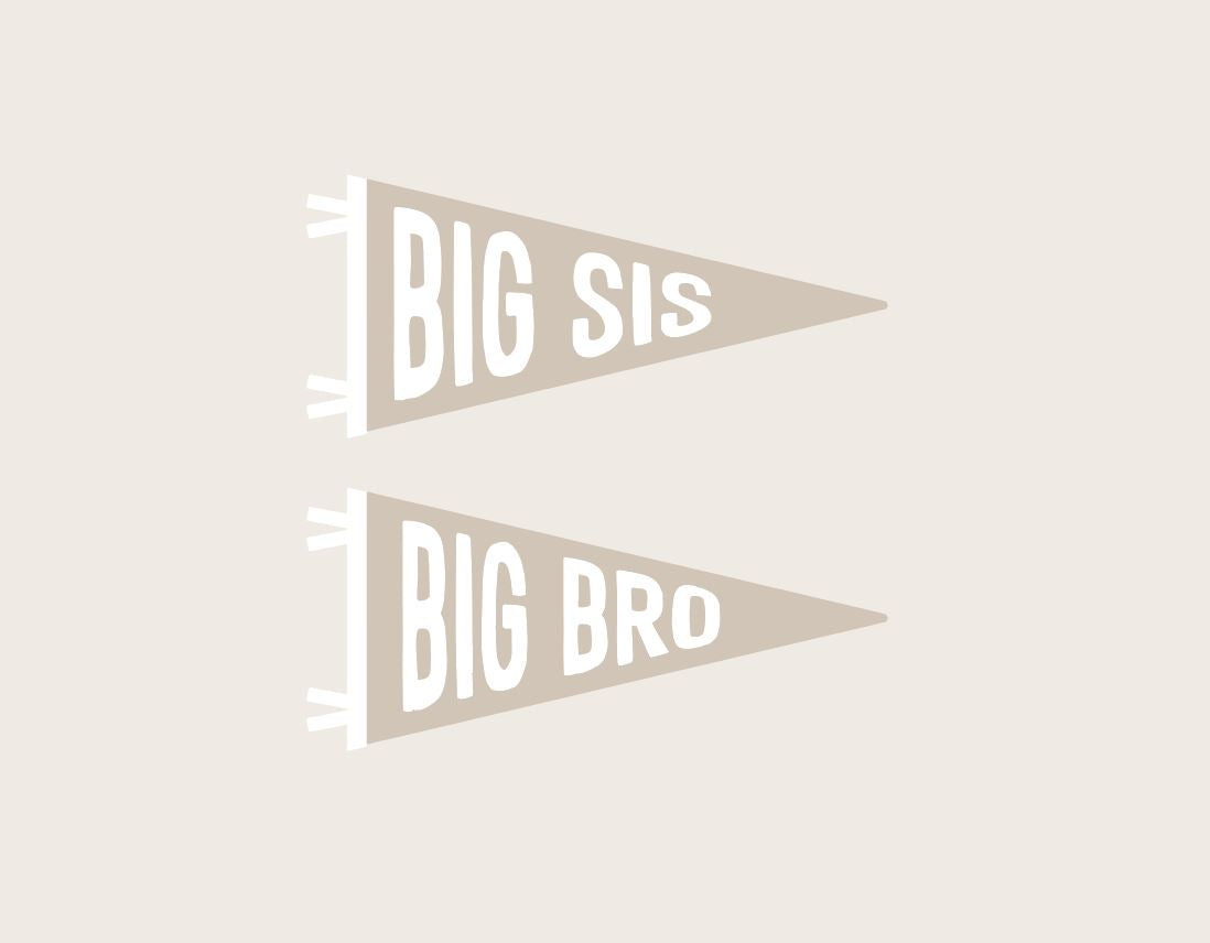 Wooden Pennant Banner - Big Sis / Big Bro
