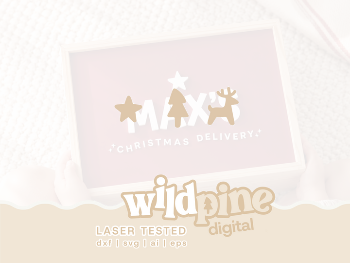 Christmas Delivery Box