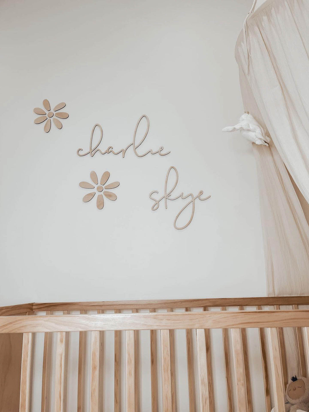 Daisy Wall Name