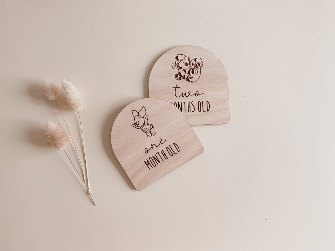 Wooden Baby Milestone Plaques (Winnie the Pooh Inspired)