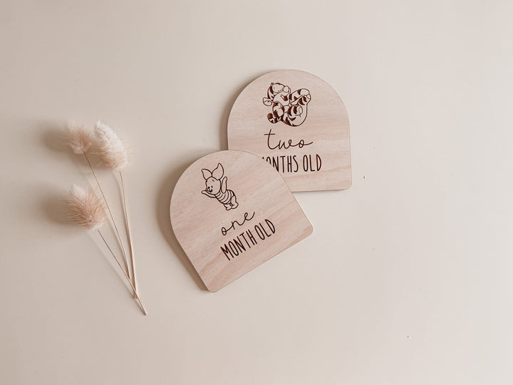 Wooden Baby Milestone Plaques (Winnie the Pooh Inspired)