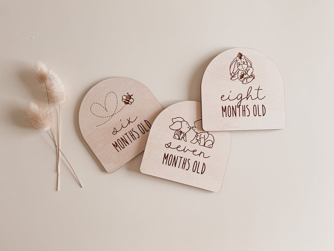 Wooden Baby Milestone Plaques (Winnie the Pooh Inspired)