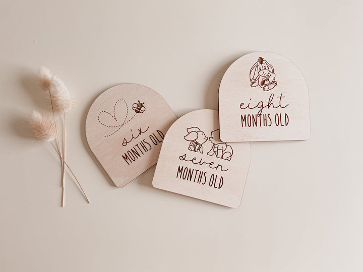 Wooden Baby Milestone Plaques (Winnie the Pooh Inspired)