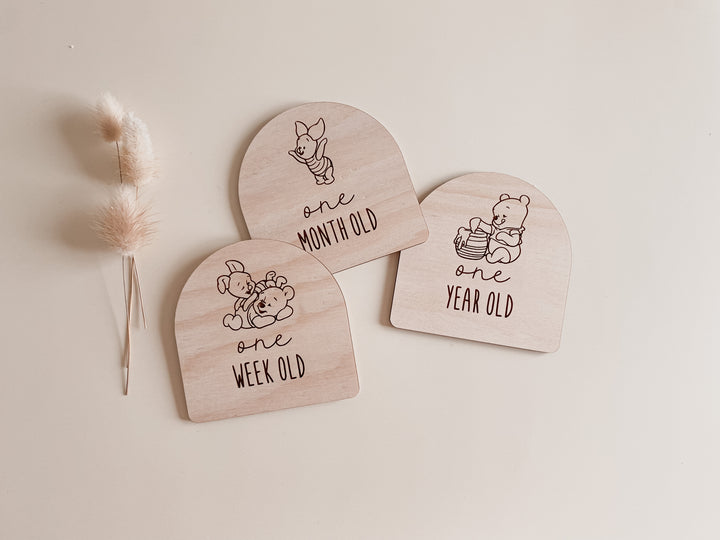 Wooden Baby Milestone Plaques (Winnie the Pooh Inspired)